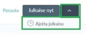 Fonecta-Connect-Asiakasohjeet-Ajoita julkaisu